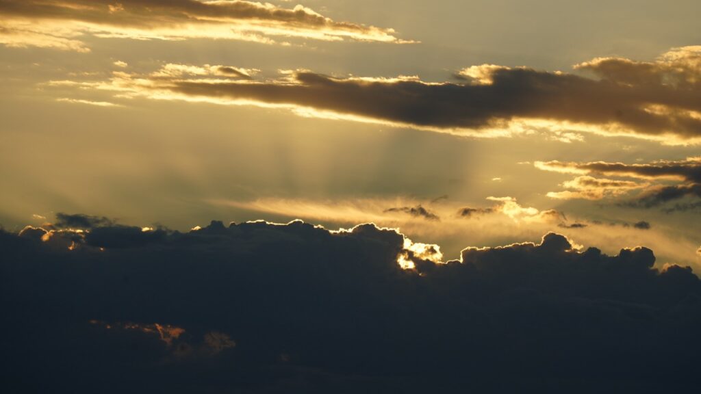 Tamron 200mm f/8 Shutter Speed 1/320s